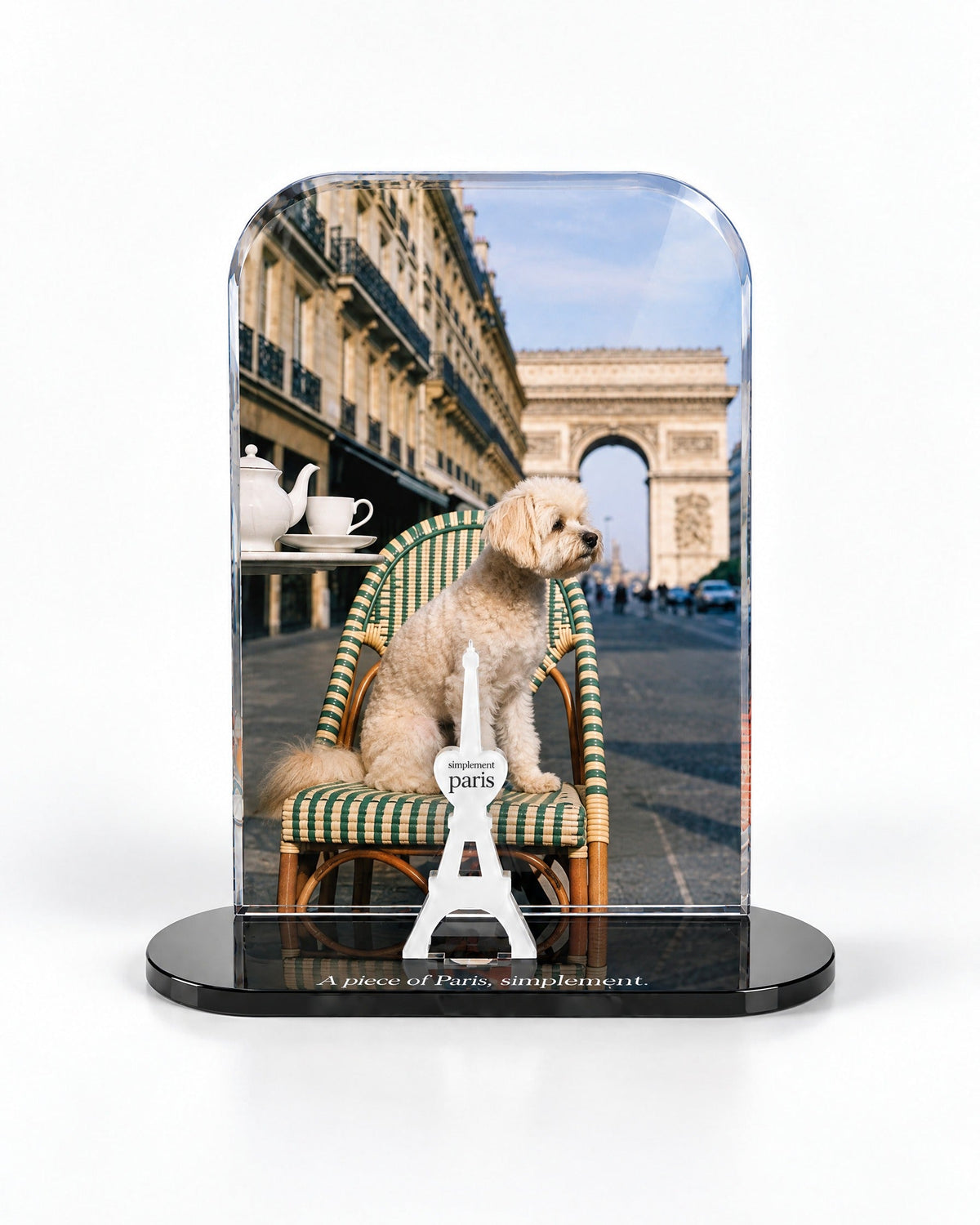 Le chien parisien